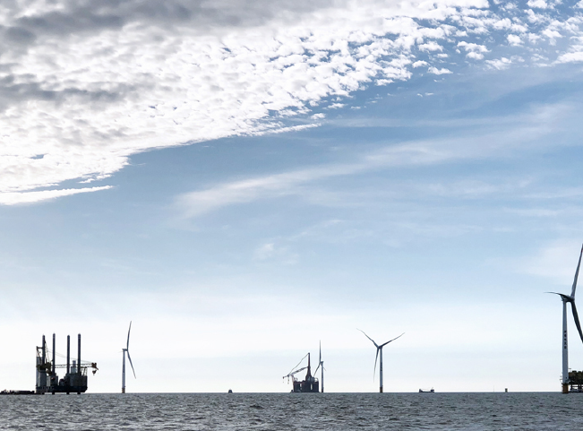 03. 浙江湛江外罗项目.png